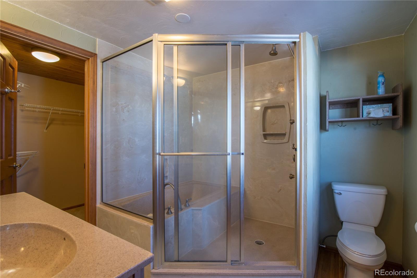 16065 Jones Road Peyton, CO 80831 - Photo 18 of 29 a bathroom with a toilet and a shower