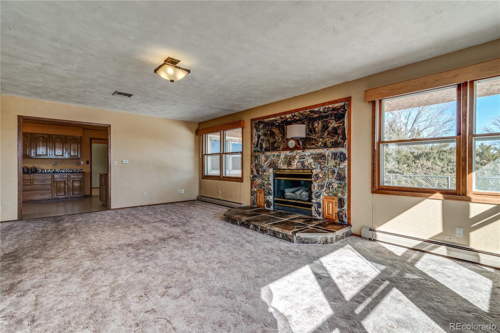 16065 Jones Road Peyton, CO 80831 - Photo 8 of 29 a living room with furniture a fireplace and a flat screen tv