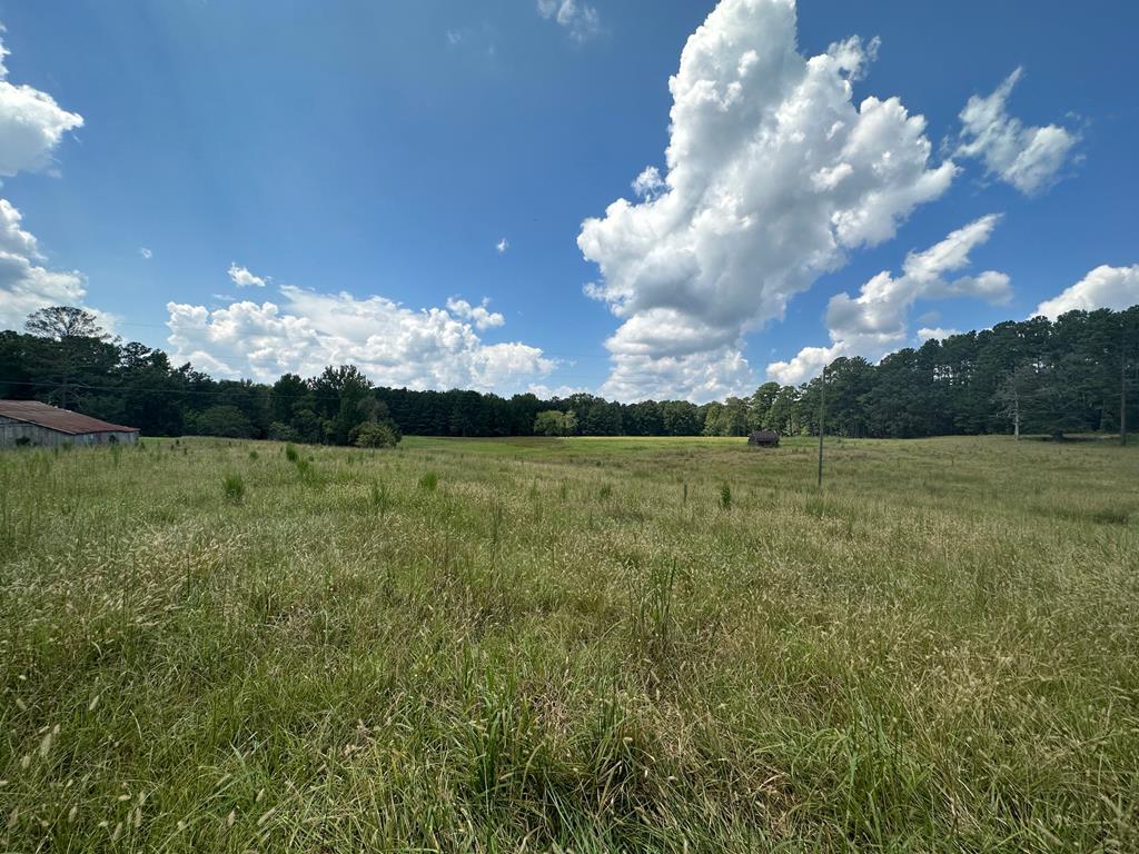 221 Harrisville Road Hamilton, GA 31811 - Photo 35 of 38