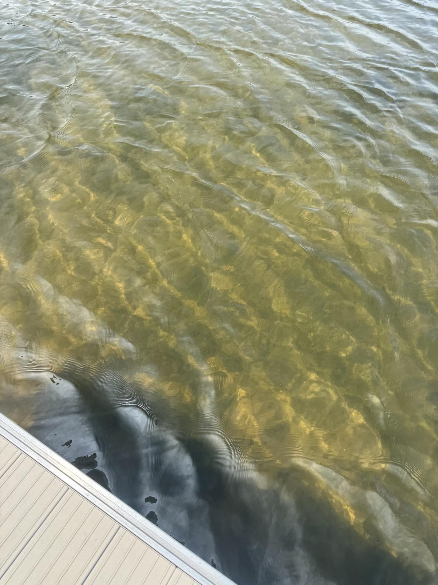 1511 South Lake Drive Shell Lake, WI 54871 - Photo 90 of 93