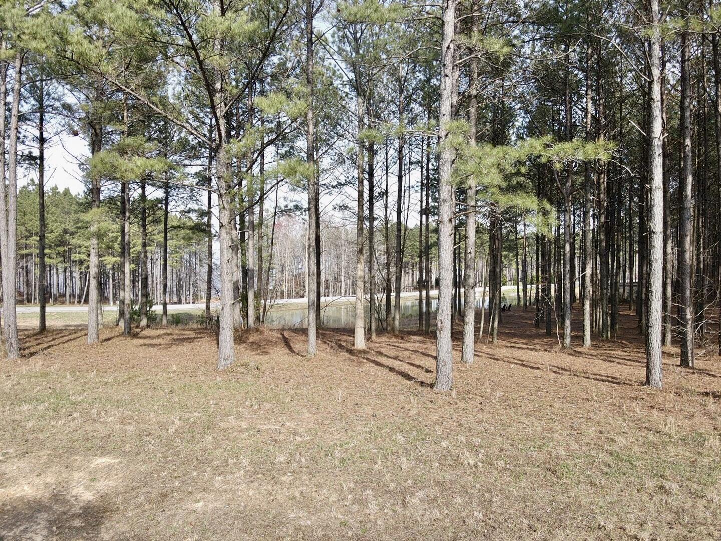 179 High Point Lane Jasper, TN 37347 - Photo 14 of 91 2024-03-21-16-12-56-025