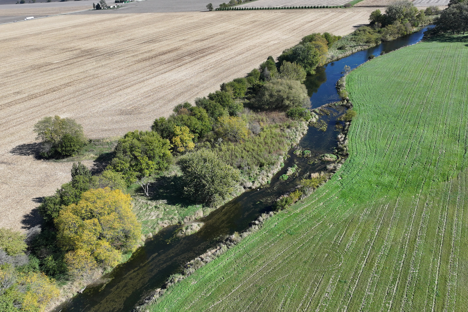 8451 North 3000 W Road Manteno, IL 60950 - Photo 2 of 7 a view of a garden with a pathway