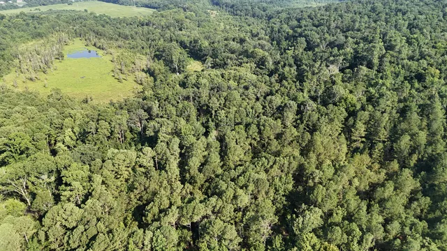 $34,900 | 0 Swamp Road, Beech Island, SC 29842