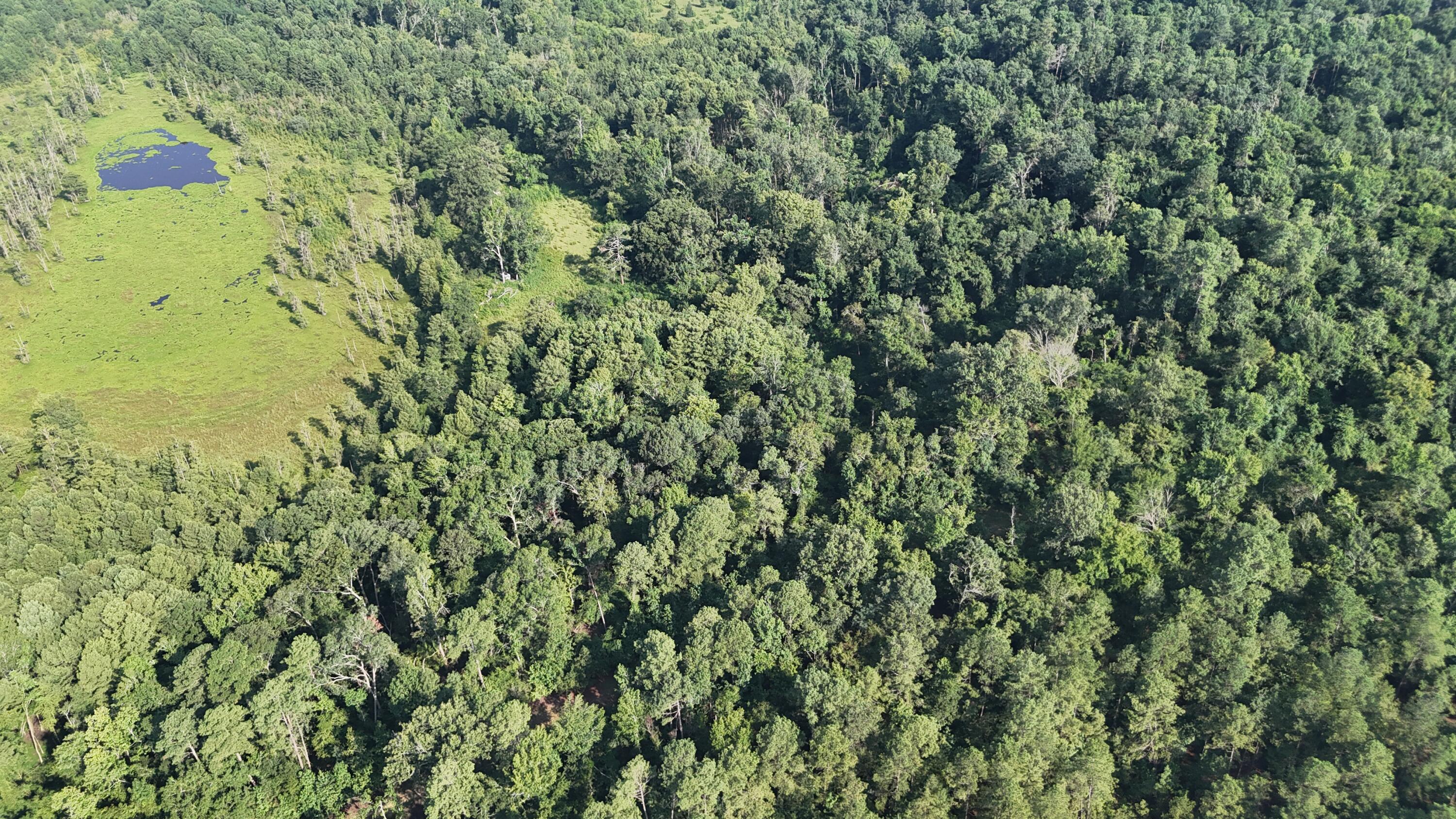 0 Swamp Road Beech Island, SC 29842 - Photo 11 of 21 DJI_20250722103113_0253_D