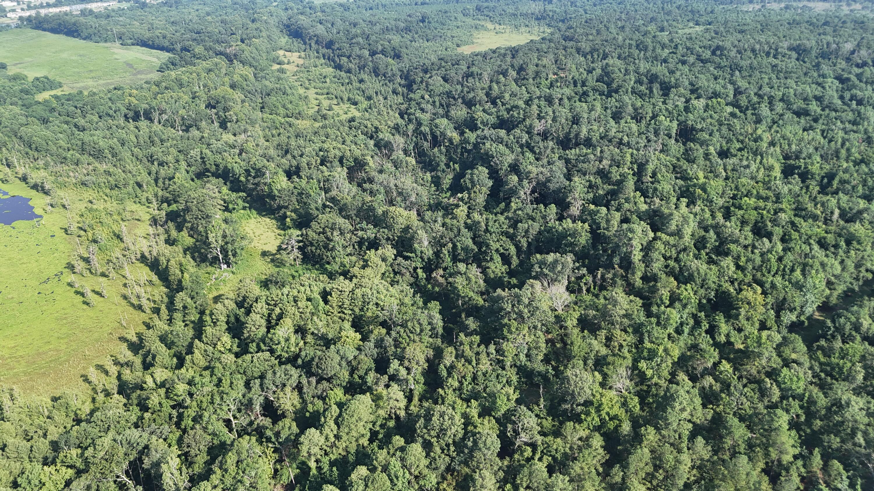 0 Swamp Road Beech Island, SC 29842 - Photo 12 of 21 DJI_20250722103117_0254_D
