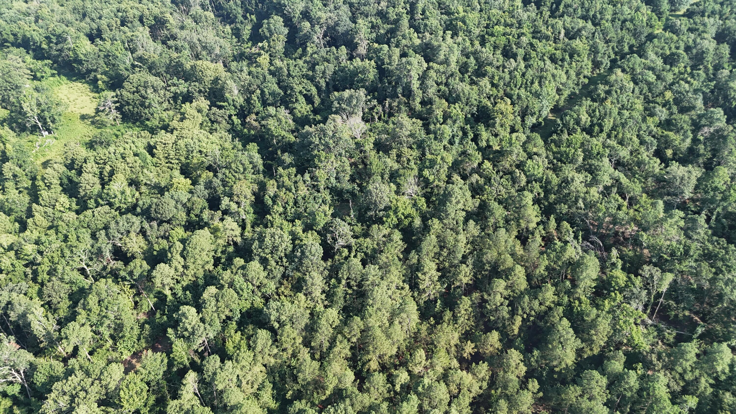 0 Swamp Road Beech Island, SC 29842 - Photo 13 of 21 DJI_20250722103149_0255_D
