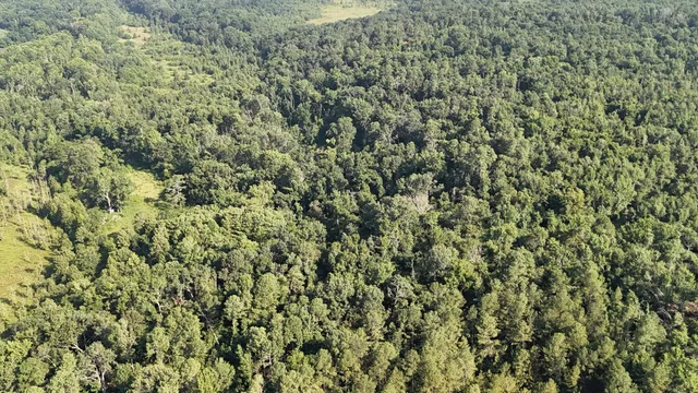 $34,900 | 0 Swamp Road, Beech Island, SC 29842