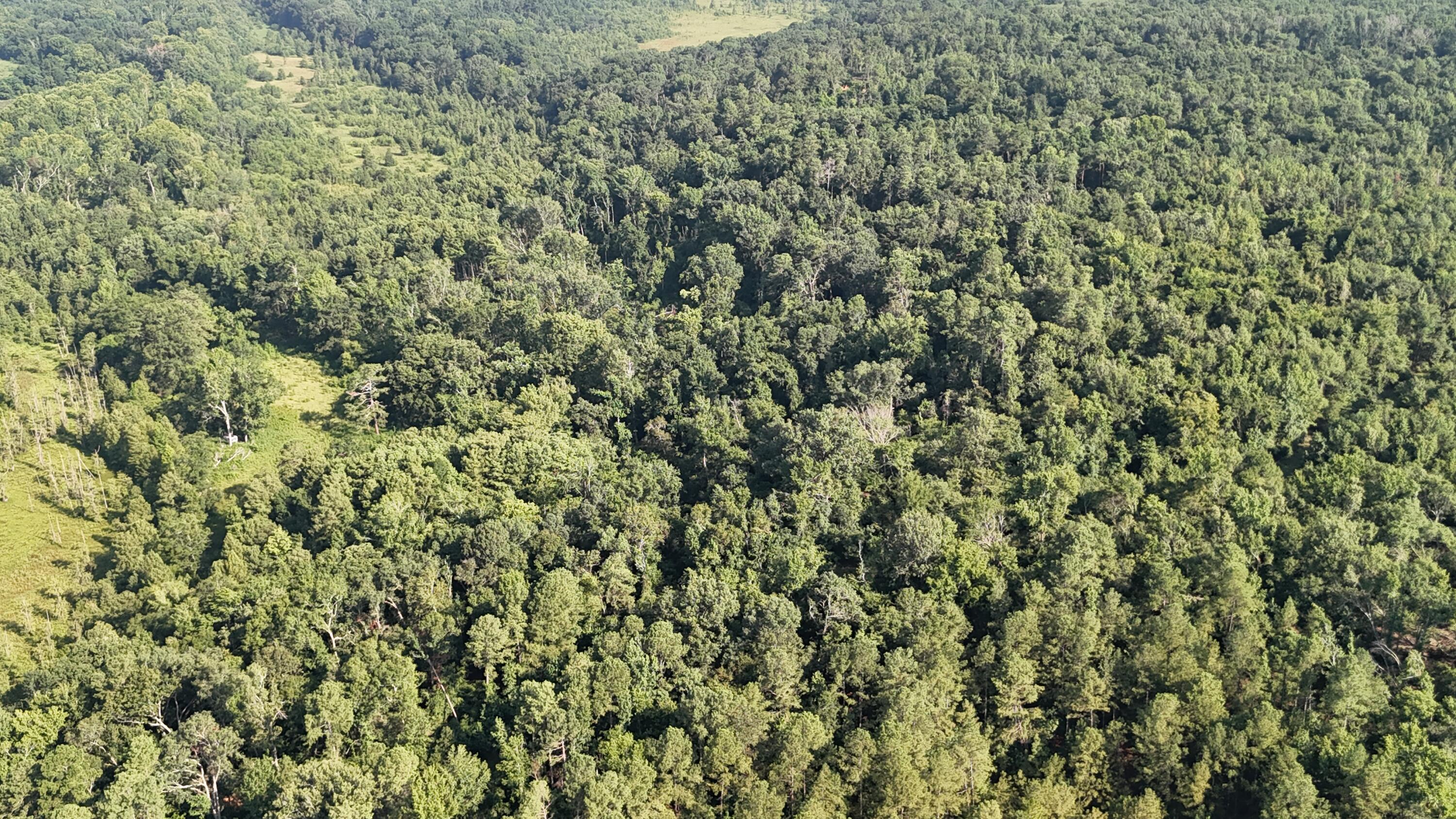 0 Swamp Road Beech Island, SC 29842 - Photo 14 of 21 DJI_20250722103217_0256_D