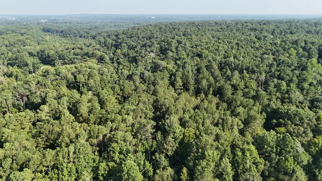 $34,900 | 0 Swamp Road, Beech Island, SC 29842