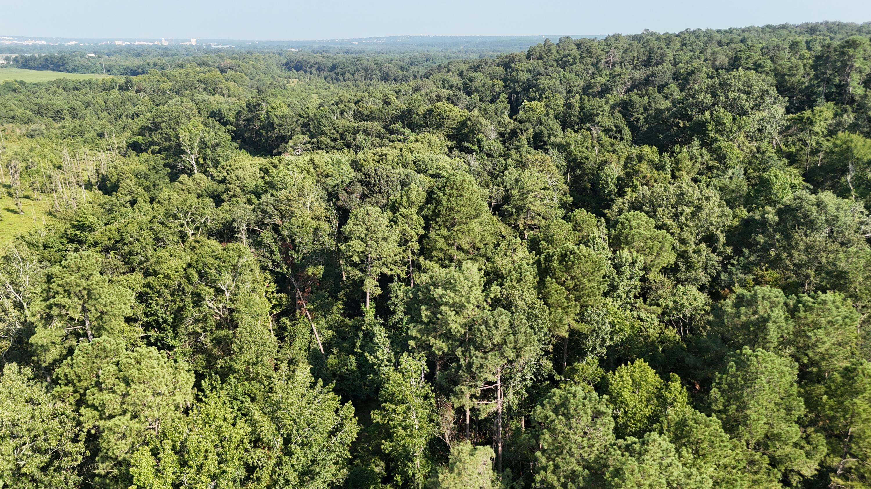 0 Swamp Road Beech Island, SC 29842 - Photo 16 of 21 DJI_20250722103307_0258_D