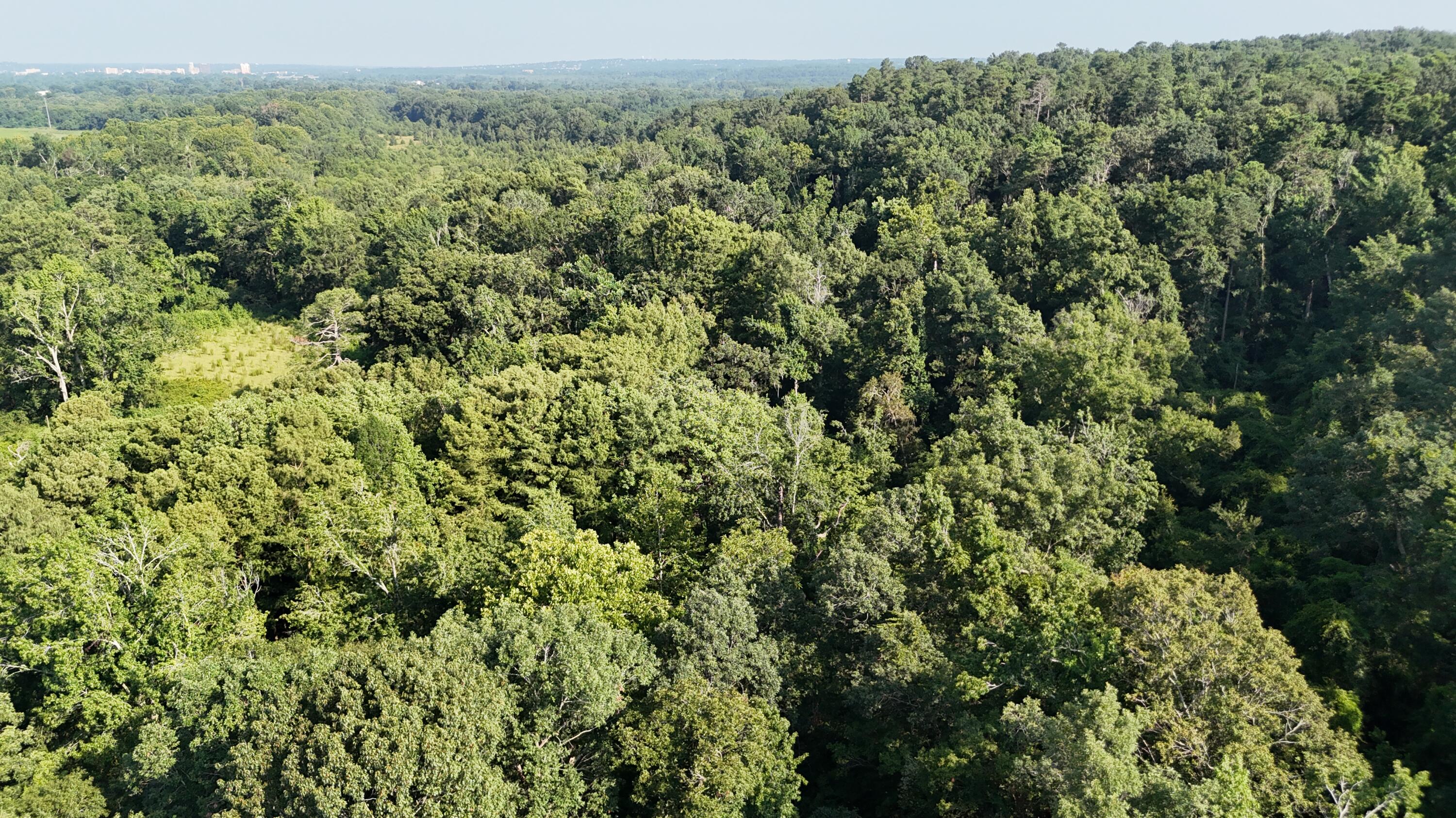 0 Swamp Road Beech Island, SC 29842 - Photo 18 of 21 DJI_20250722103327_0260_D