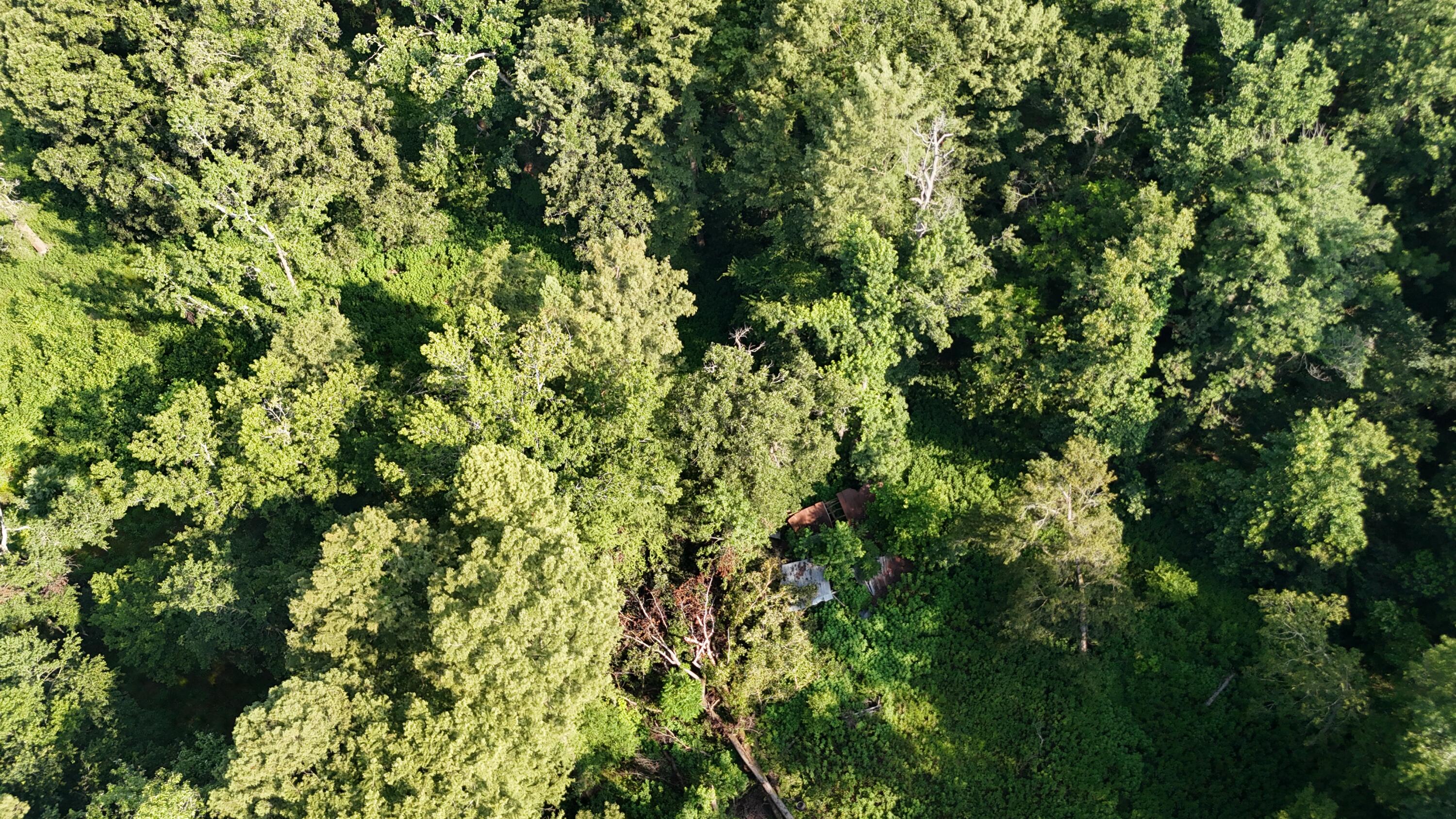 0 Swamp Road Beech Island, SC 29842 - Photo 20 of 21 DJI_20250722103344_0262_D