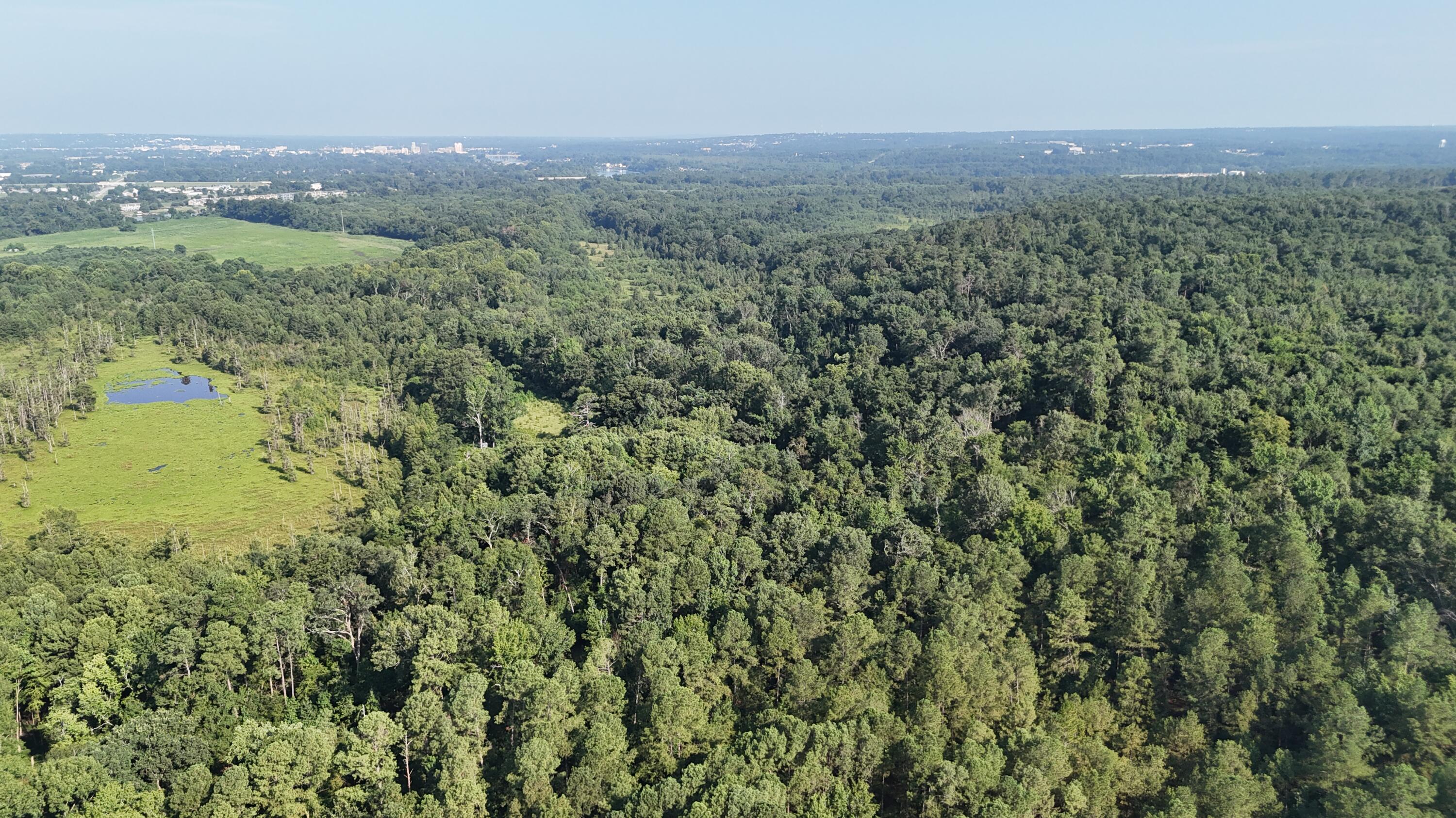 0 Swamp Road Beech Island, SC 29842 - Photo 2 of 21 DJI_20250722102853_0244_D