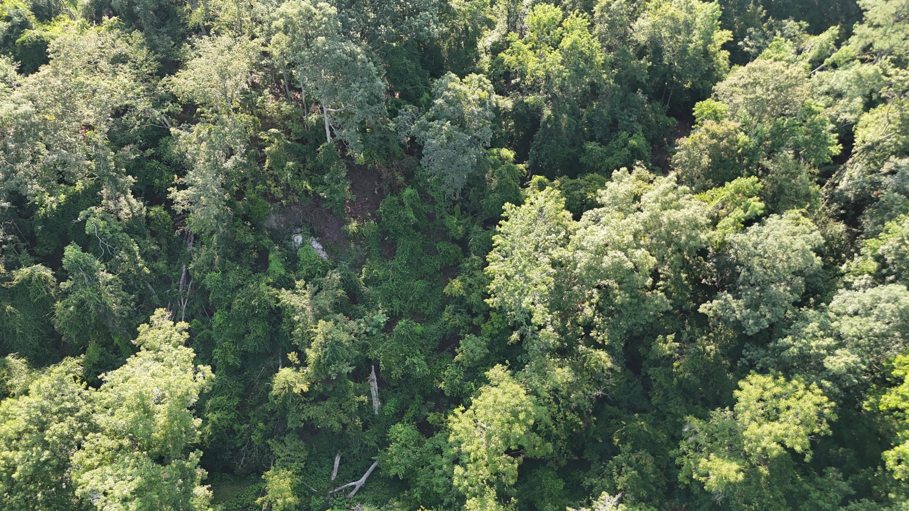 0 Swamp Road Beech Island, SC 29842 - Photo 21 of 21 DJI_20250722103348_0263_D