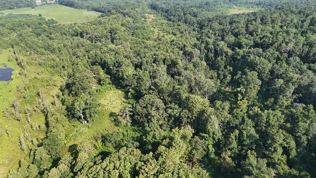 $34,900 | 0 Swamp Road, Beech Island, SC 29842