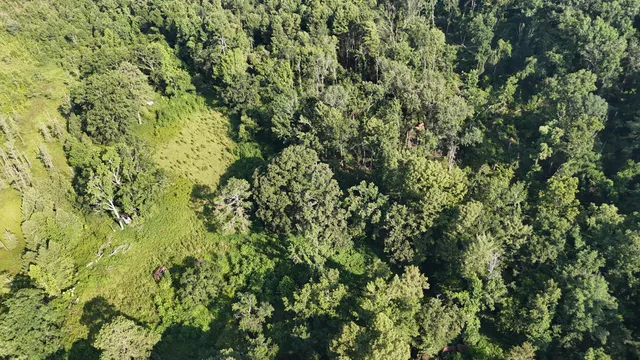 $34,900 | 0 Swamp Road, Beech Island, SC 29842