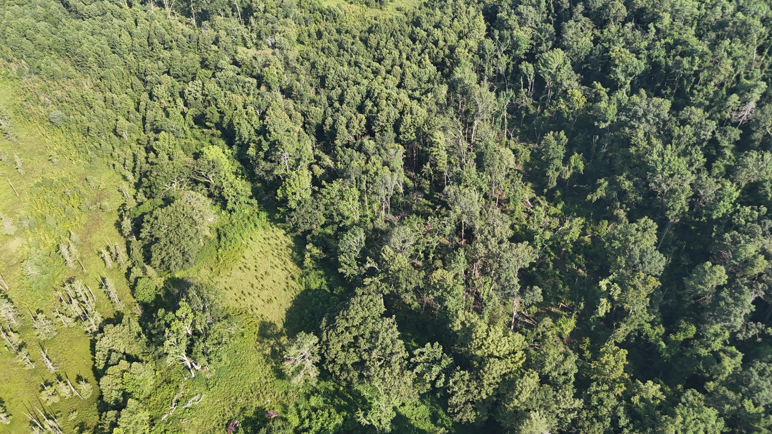 0 Swamp Road Beech Island, SC 29842 - Photo 5 of 21 DJI_20250722102959_0247_D