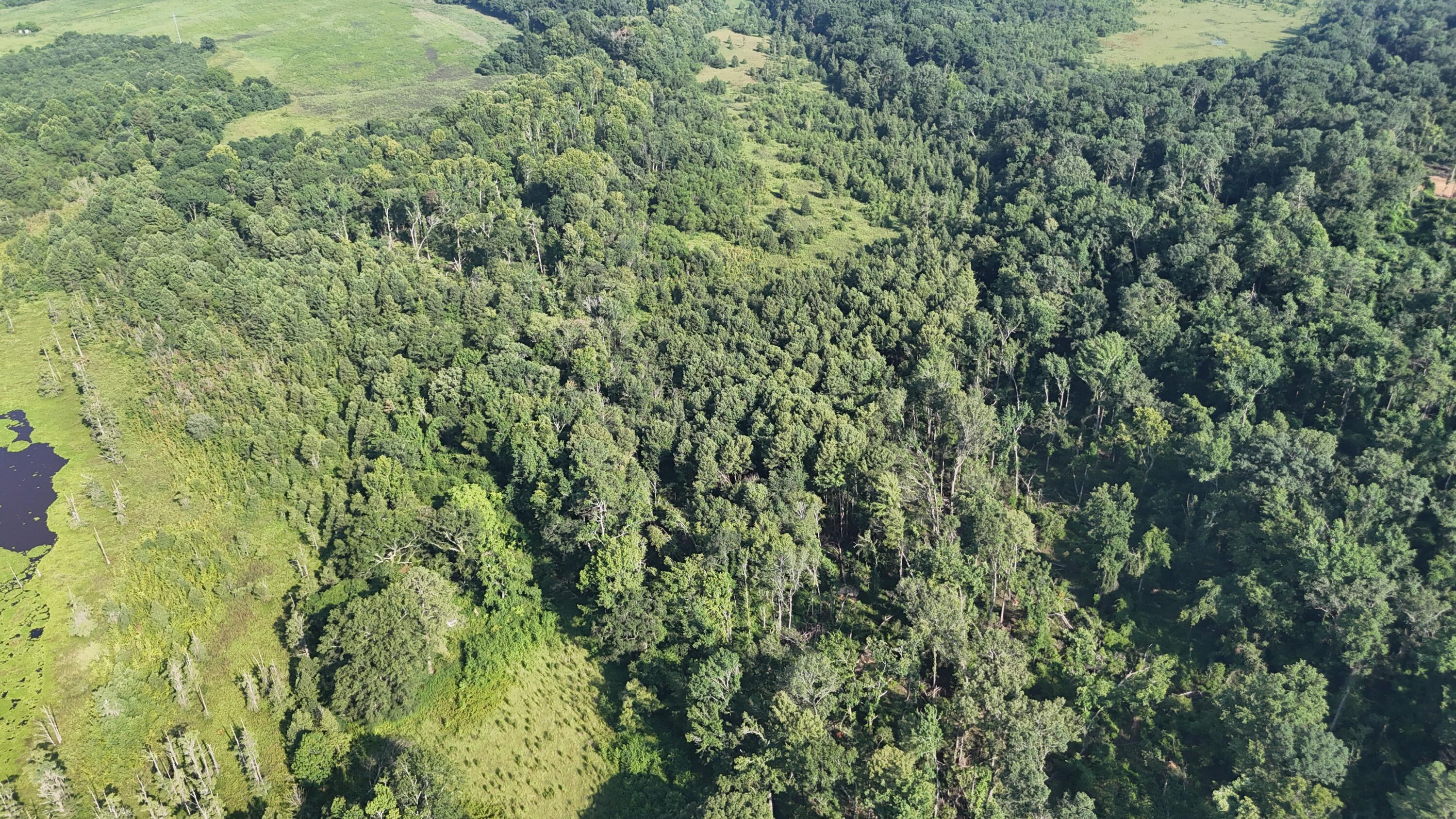 0 Swamp Road Beech Island, SC 29842 - Photo 6 of 21 DJI_20250722103004_0248_D