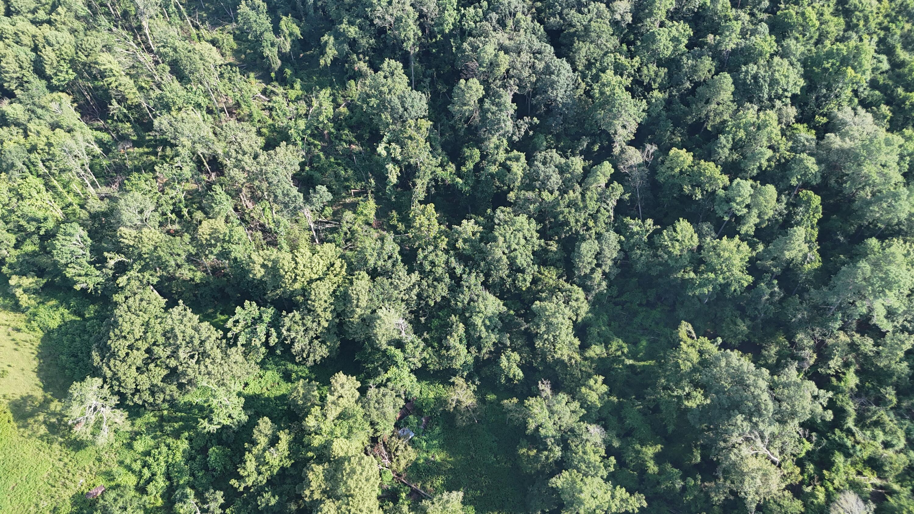 0 Swamp Road Beech Island, SC 29842 - Photo 7 of 21 DJI_20250722103028_0249_D