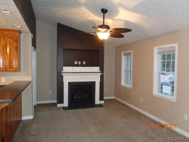 5010 Waymacks Road Charles City, VA 23030 - Photo 2 of 10 Gallery Image 2