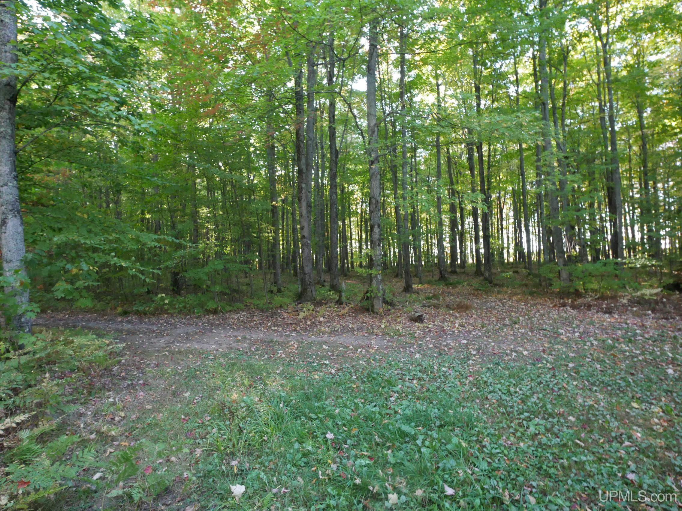 37358 Tapiola Road Chassell, MI 49916 - Photo 79 of 86 Gallery Image 79