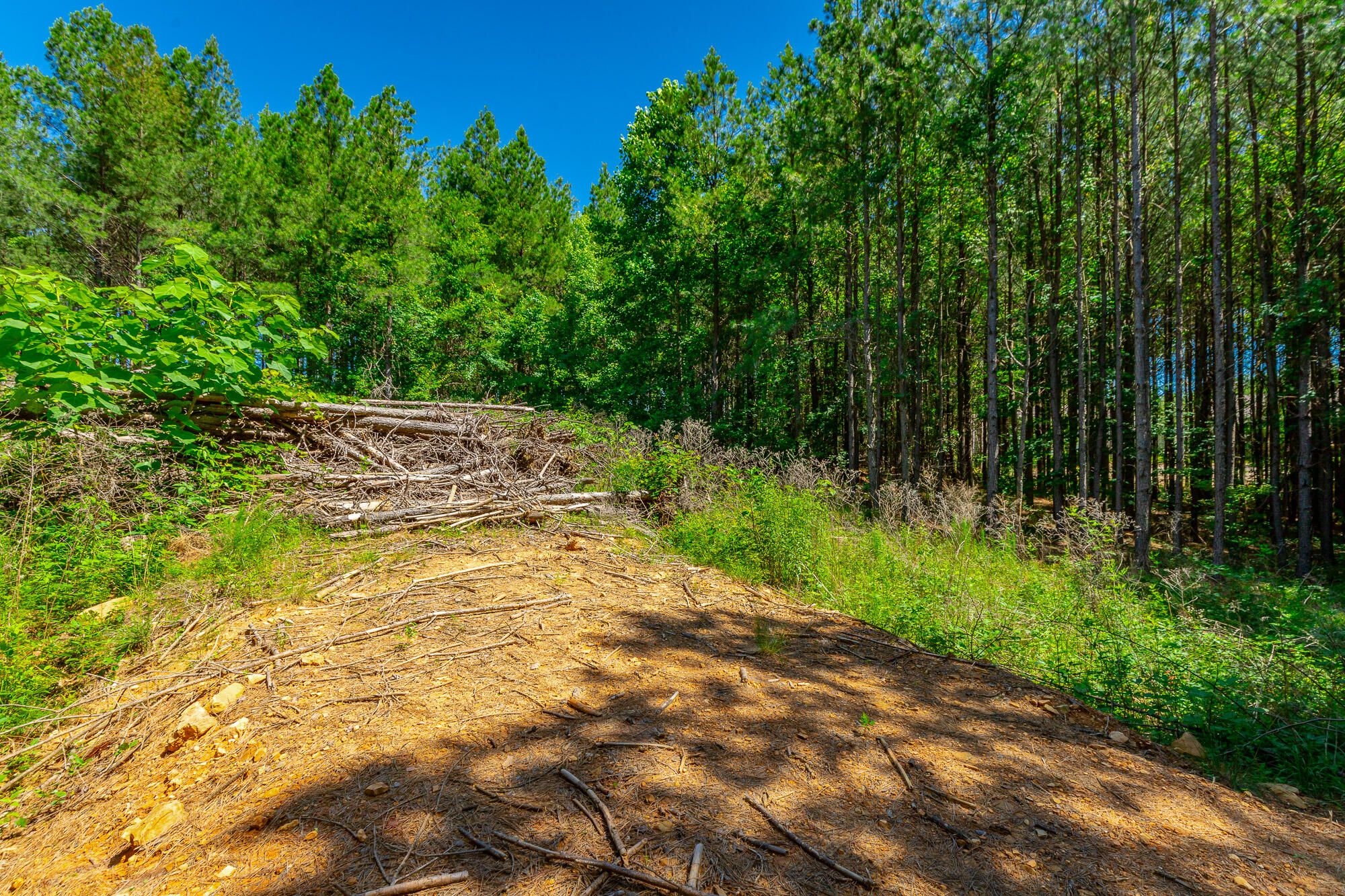 0 Split Rail Way, Unit LOT 1163 Guild, TN 37340 - Photo 9 of 118 River Gorge Lot 1163 HD-21