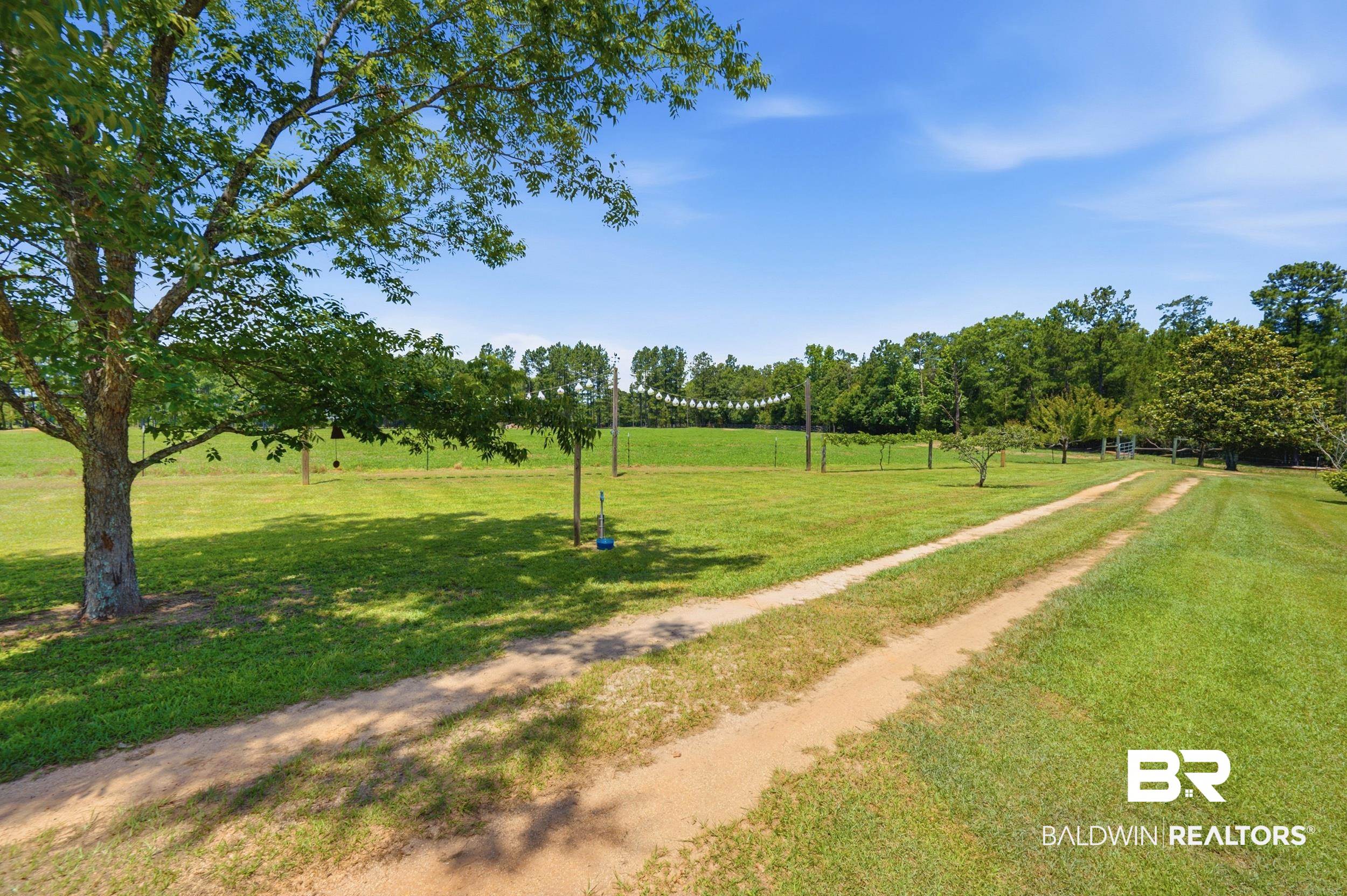 15855 Calvin Richerson Road Bay Minette, AL 36507 - Photo 73 of 83 Expansive green lawn with a dirt driveway, mature trees, and a tree swing