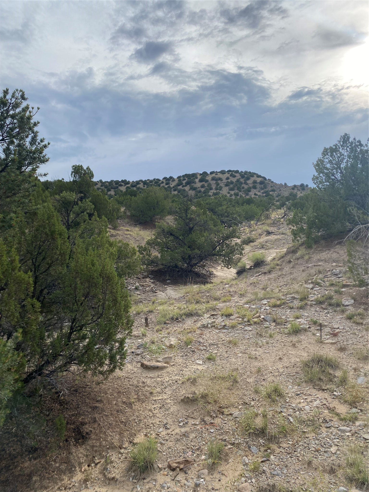 44 A Gold Mine Road, Unit A Cerrillos, NM 87010 - Photo 20 of 41