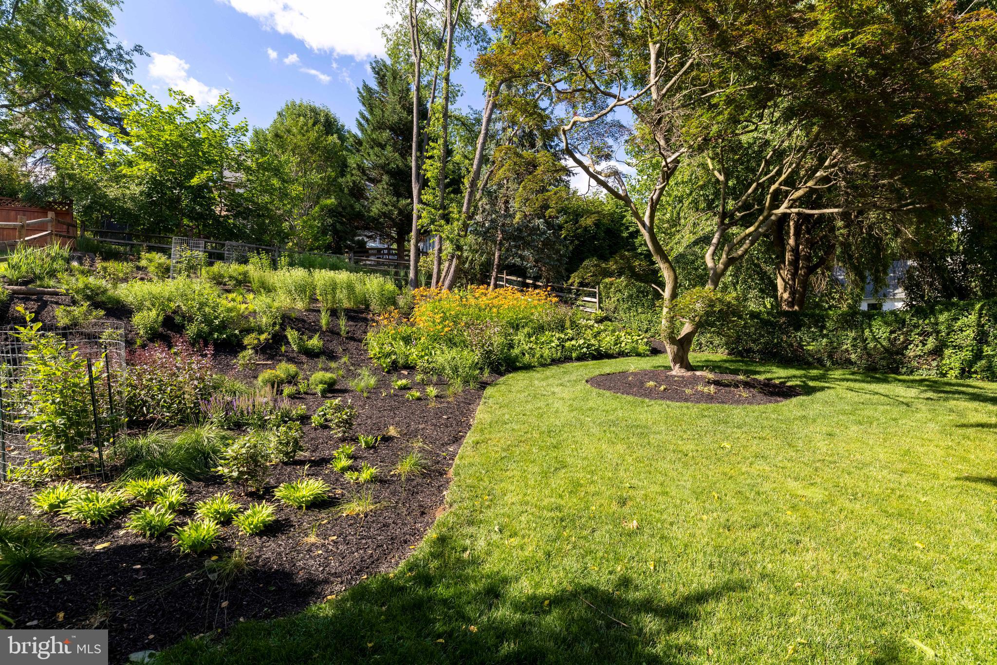 245 Mather Road Jenkintown, PA 19046 - Photo 62 of 71 look at this garden!