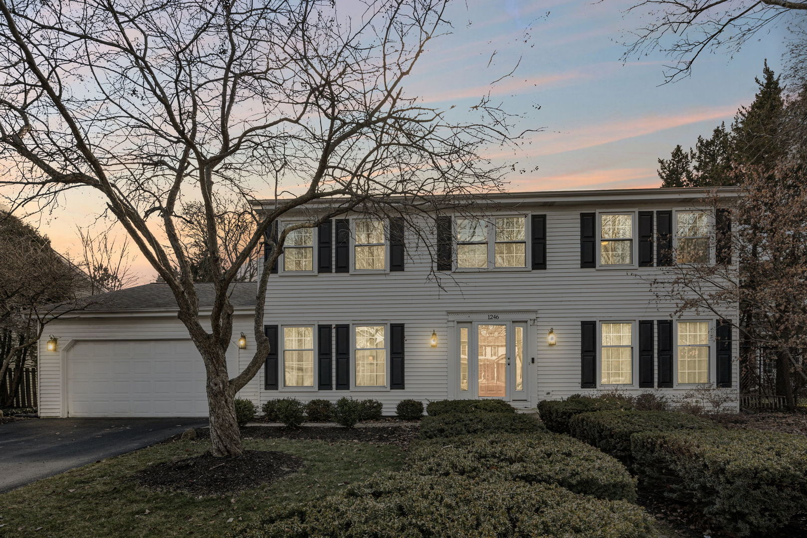 1246 Edward Road Naperville, IL 60540 - Photo 1 of 21 a front view of a house with a yard