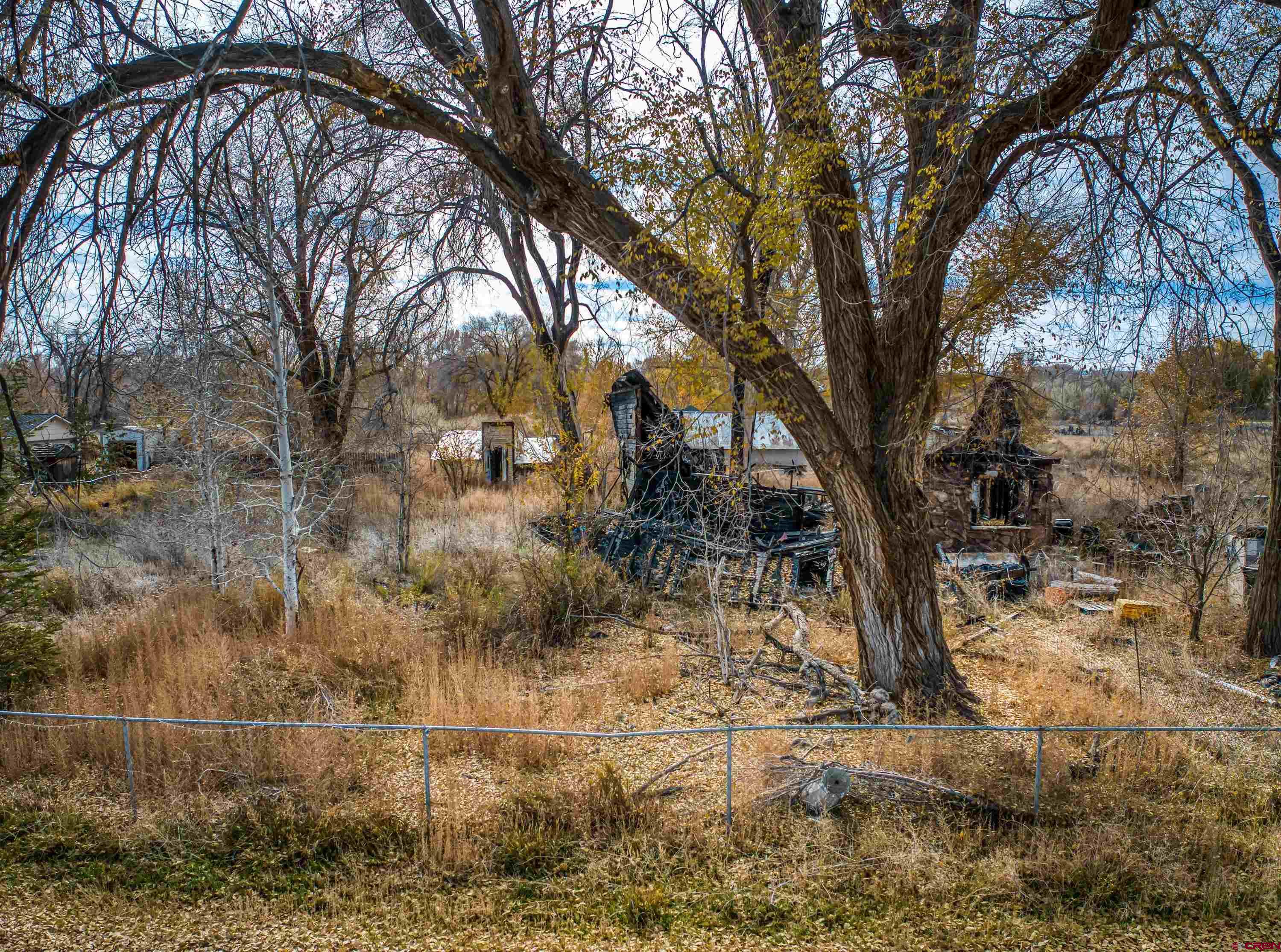 1663 H38 Road Delta, CO 81416 - Photo 10 of 20 a backyard of a house with lots of trees