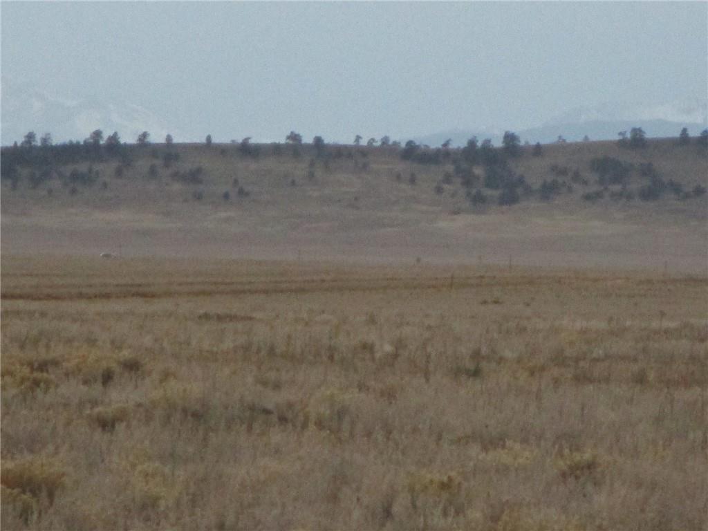 4992 Moffat Road Hartsel, CO 80449 - Photo 6 of 8 a view of a dry yard