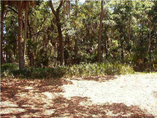 3241 Seabrook Island Road Seabrook Island, SC 29455 - Photo 5 of 5 Additional Photo