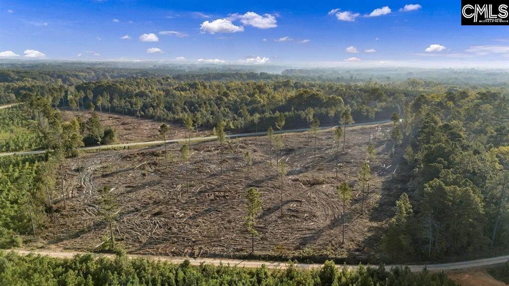 0 Fruit Hill Road Saluda, SC 29138 - Photo 13 of 17