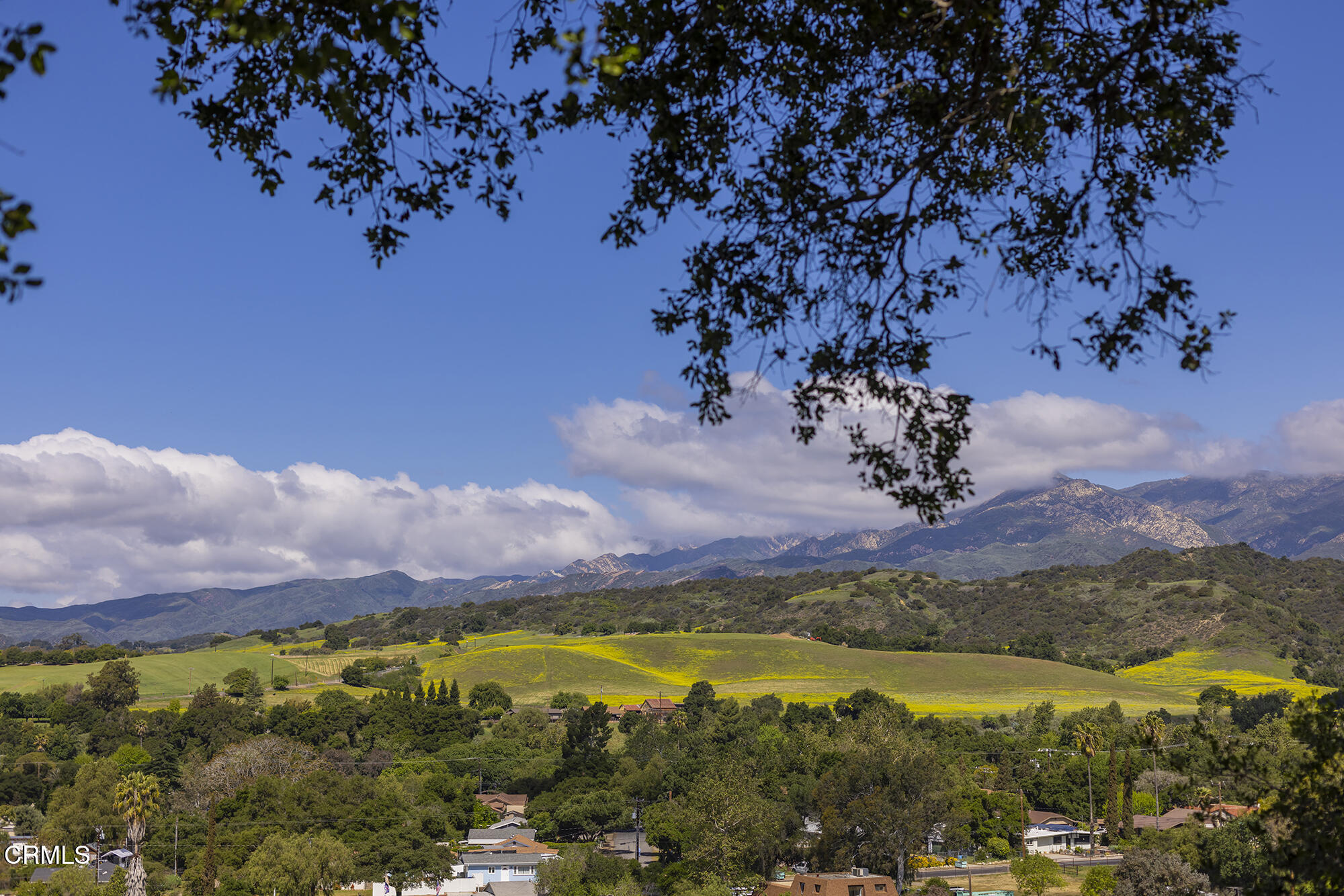 45 Rio Via Oak View, CA 93022 - Photo 34 of 34 a view of a swimming pool with a garden