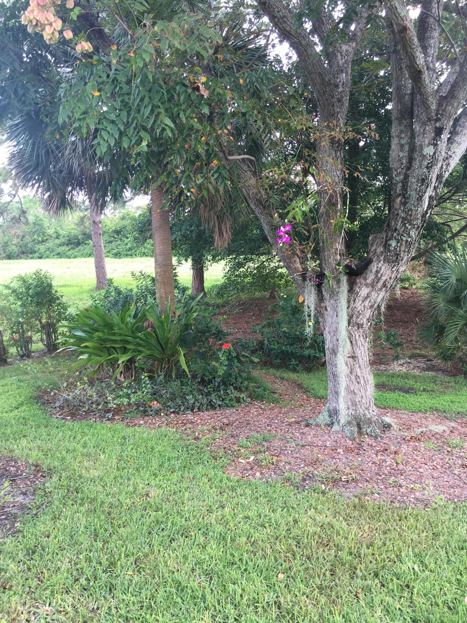 23204 L'Ermitage Circle Boca Raton, FL 33433 - Photo 40 of 49 YARD