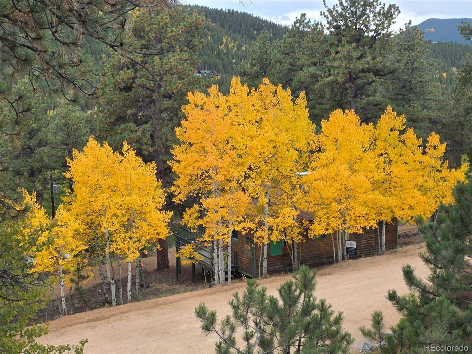 132 Jones Road Bailey, CO 80421 - Photo 11 of 25