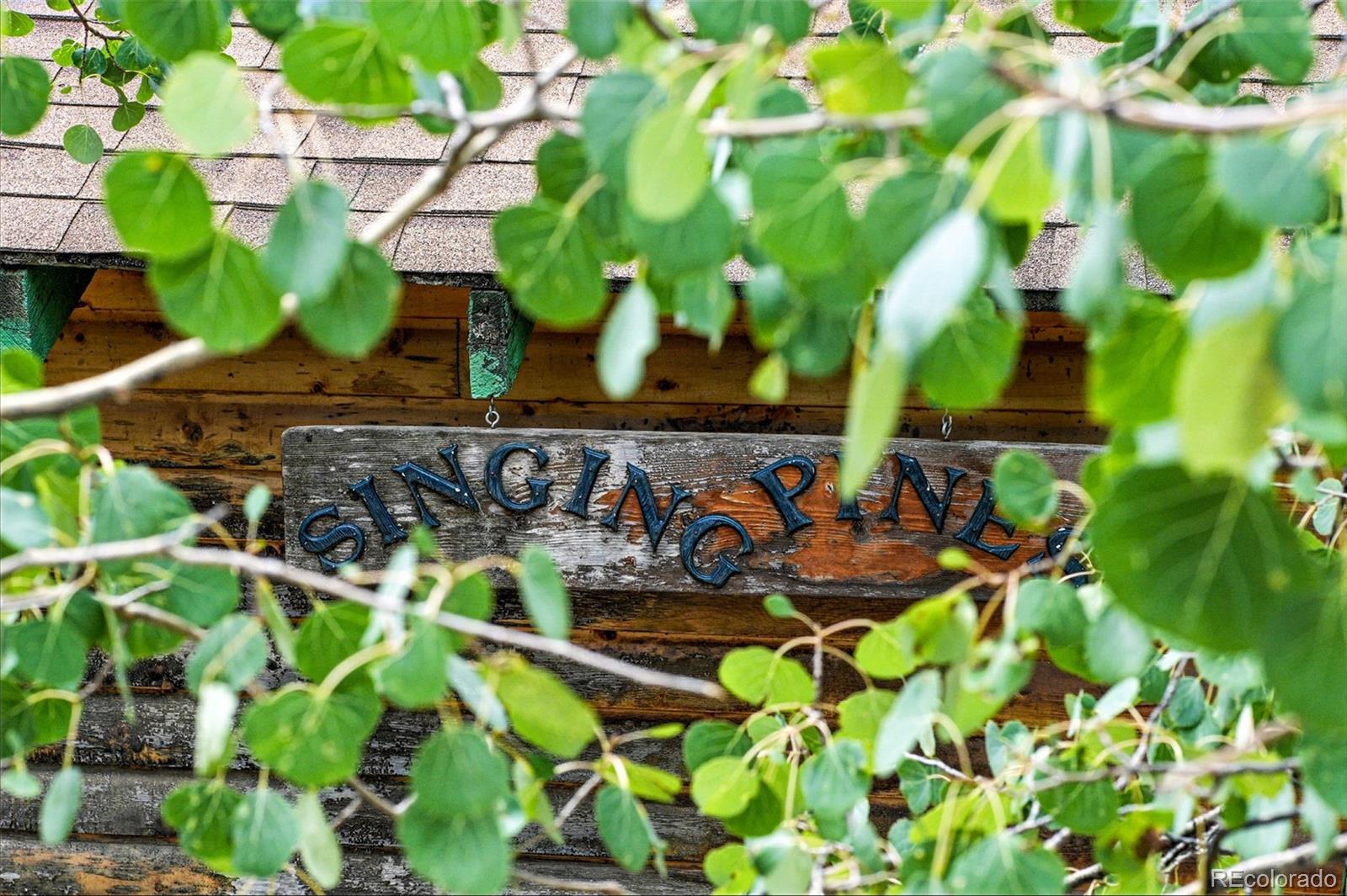 132 Jones Road Bailey, CO 80421 - Photo 12 of 25