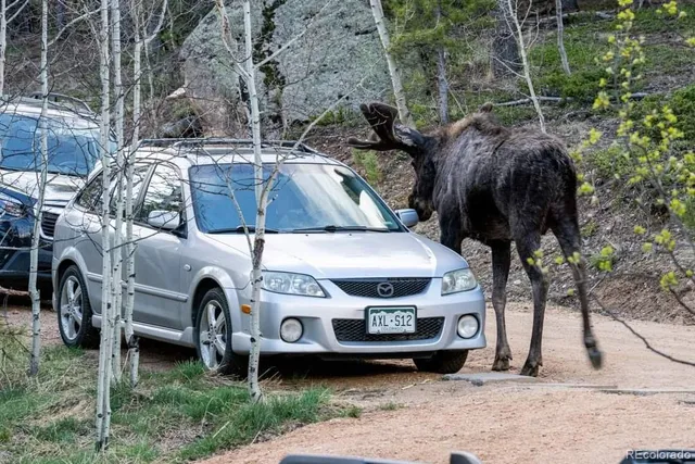 $149,999 | 132 Jones Road, Bailey, CO 80421