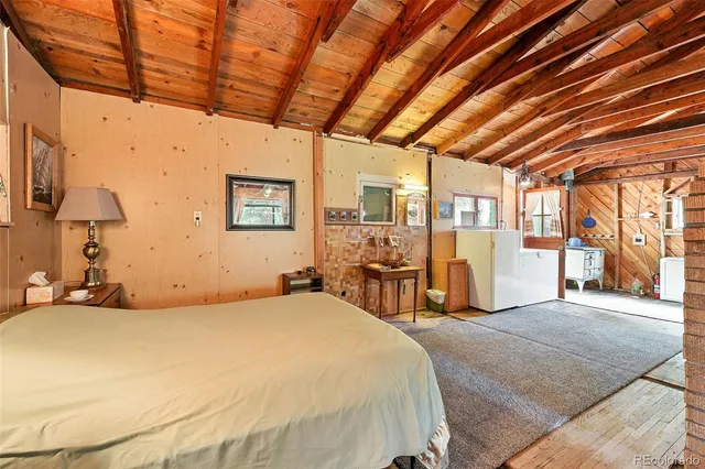 $149,999 | 132 Jones Road, Bailey, CO 80421