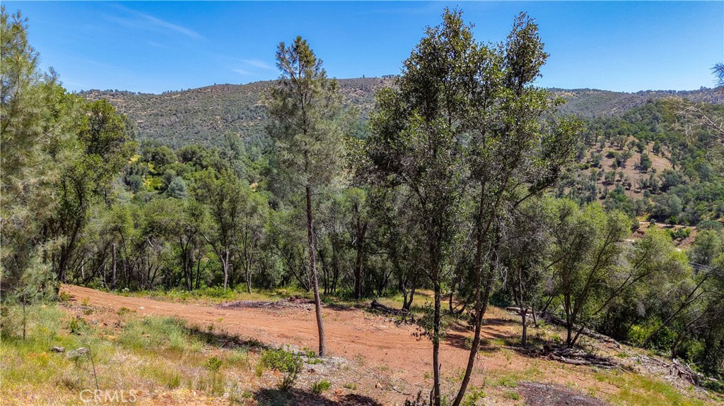 10 Miller Road Mariposa, CA 95338 - Photo 23 of 34 a view of a backyard of the house