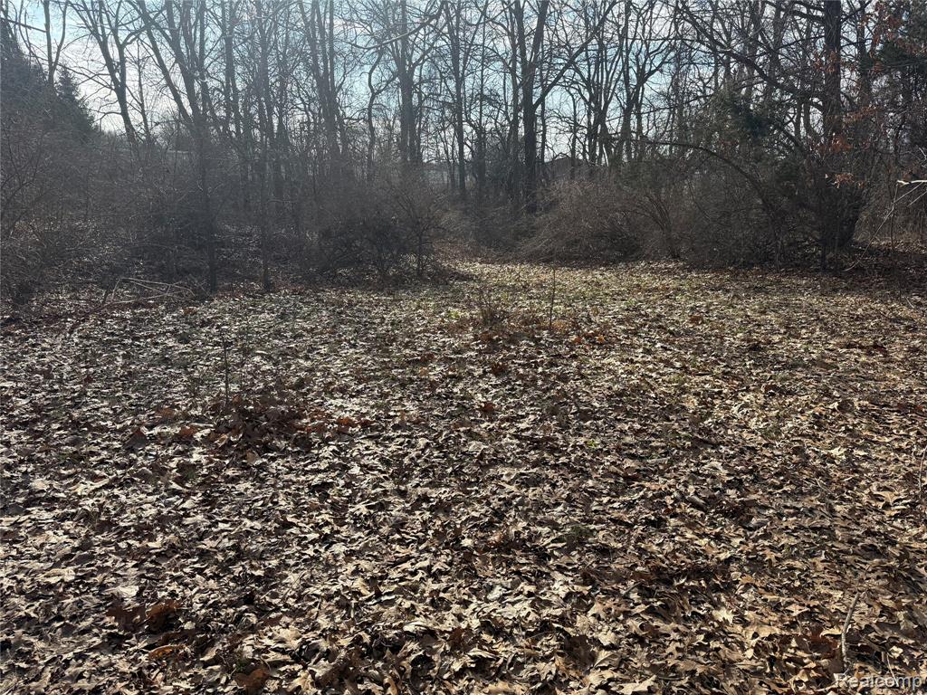 2096 Hunter Road Brighton, MI 48114 - Photo 7 of 9
