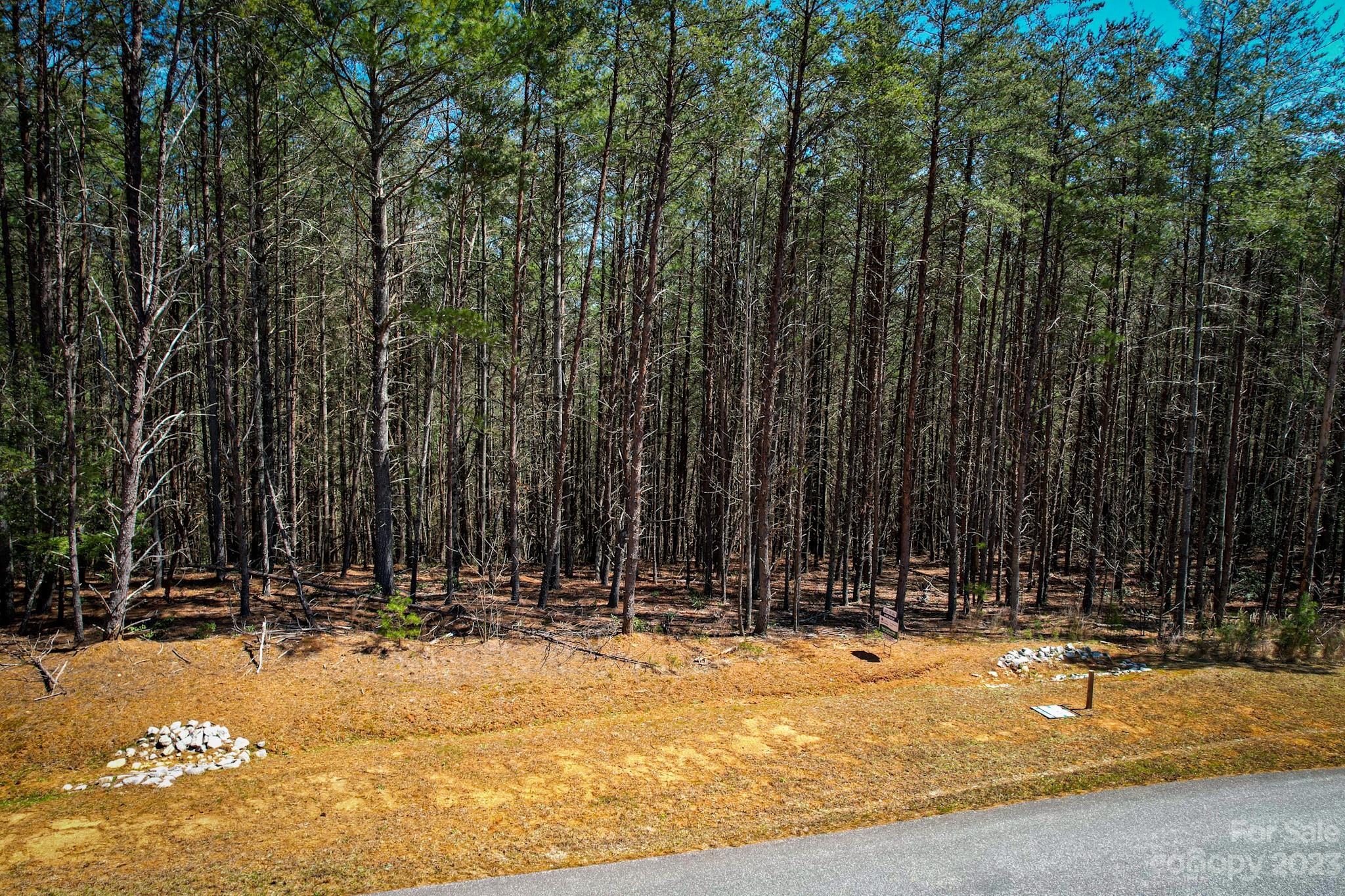 2413 Ivy Rays Way Nebo, NC 28761 - Photo 6 of 16 Gallery Image 6