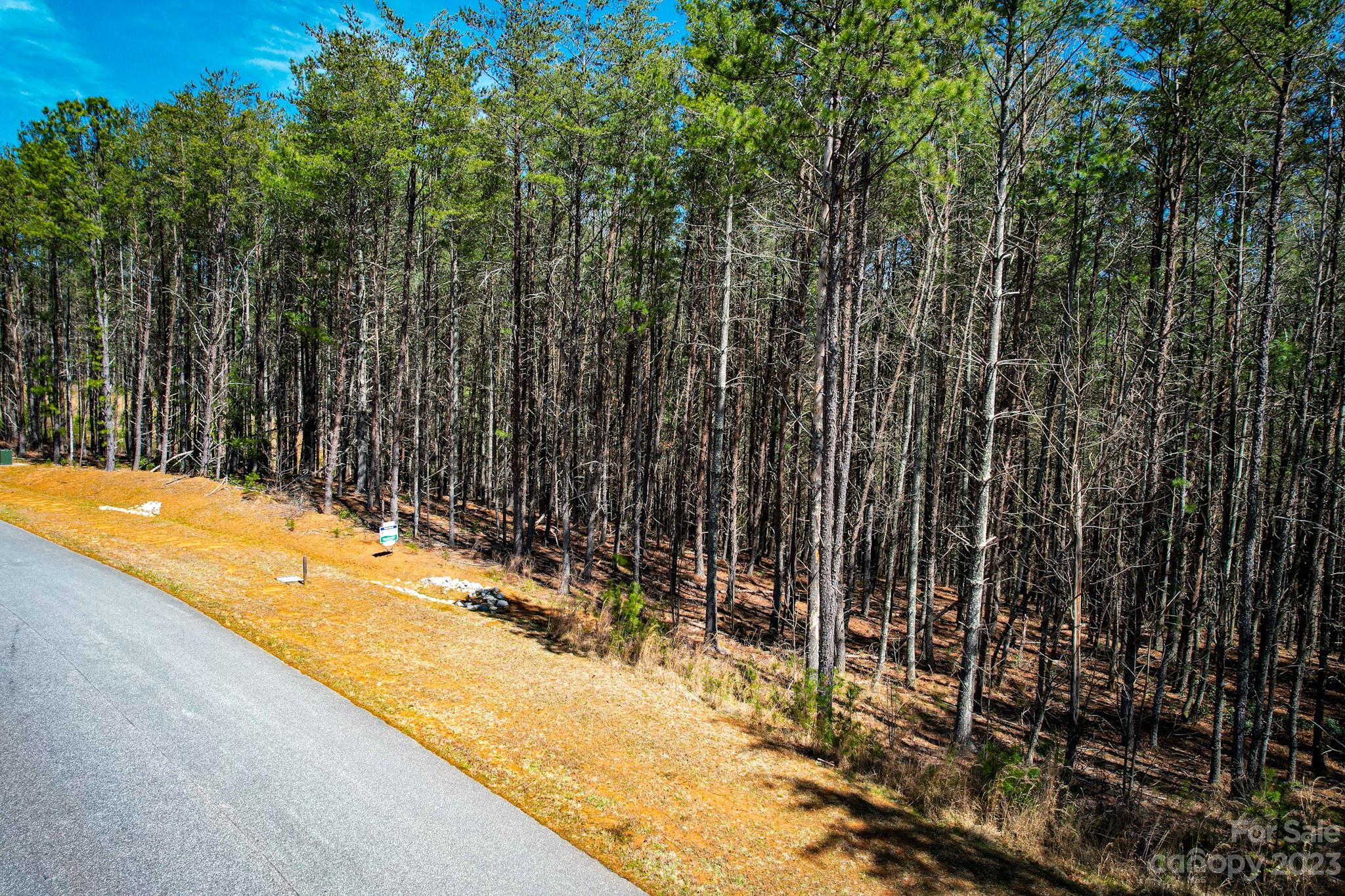 2413 Ivy Rays Way Nebo, NC 28761 - Photo 9 of 16 Gallery Image 9
