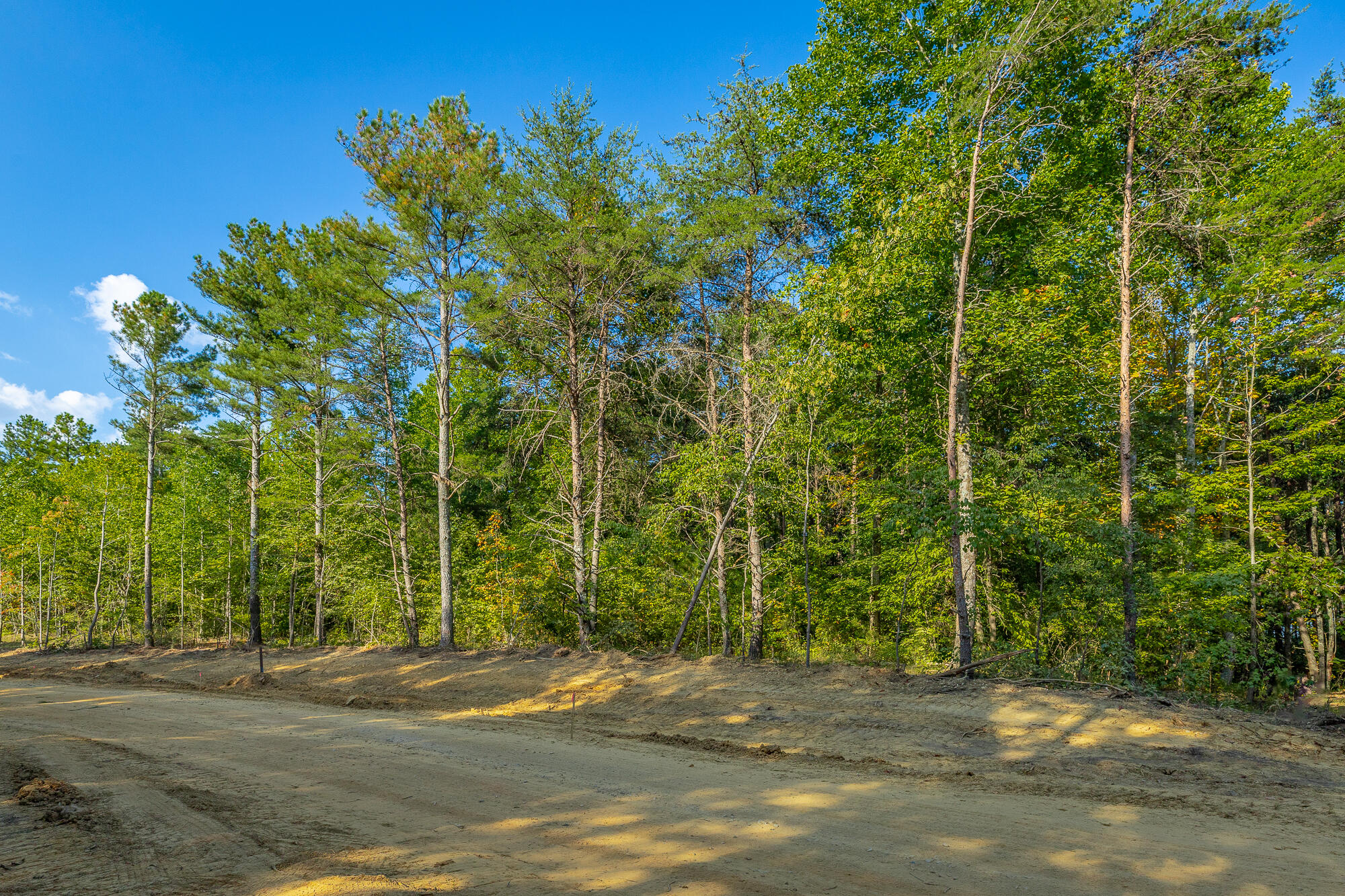 0 High Ground Road, Unit LOT 2218 Guild, TN 37340 - Photo 16 of 115 0 High Ground Road - Lot 2218 HD-51