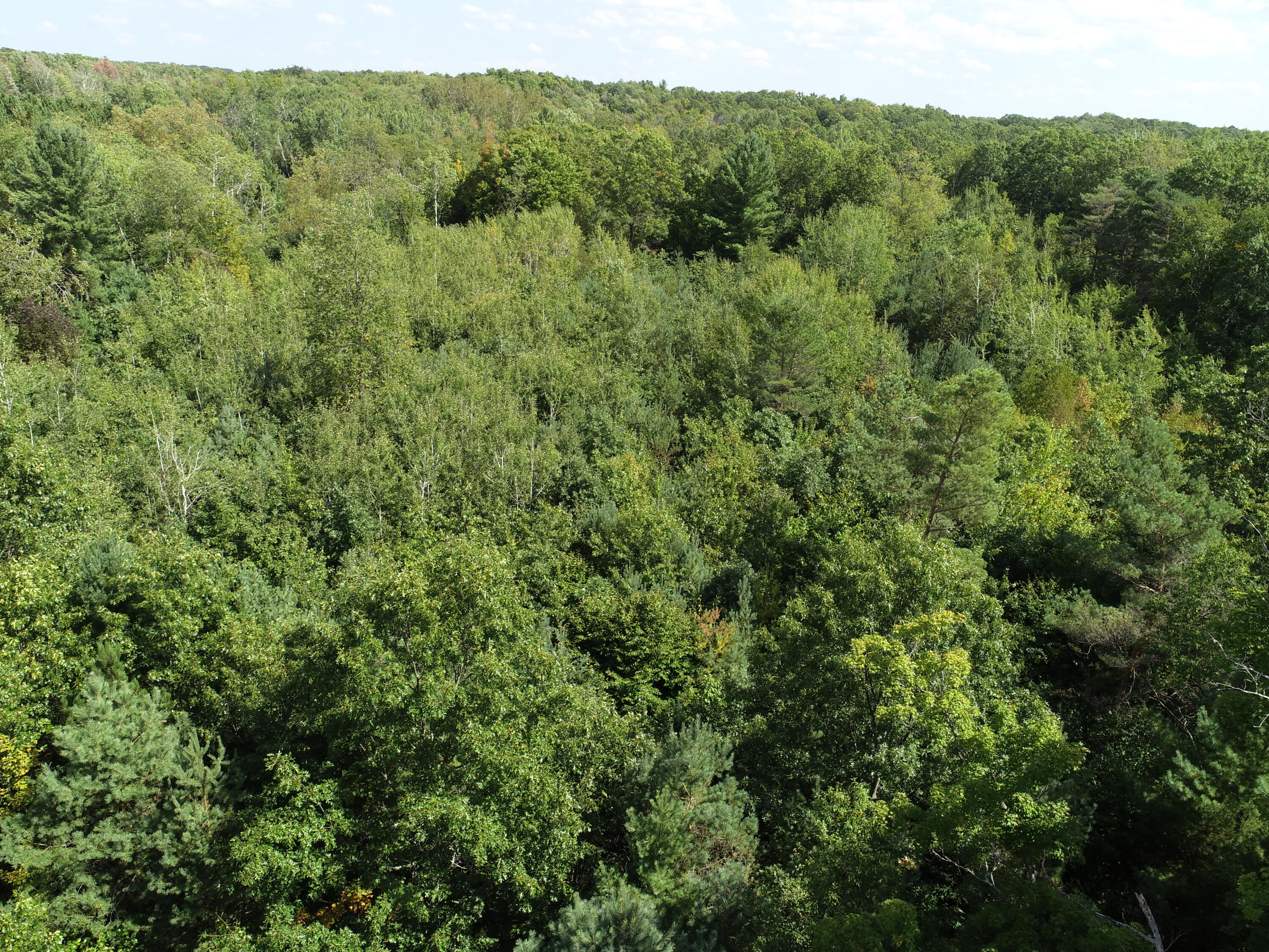 0 North Hawkins Road Luther, MI 49656 - Photo 2 of 4 cymbalski2