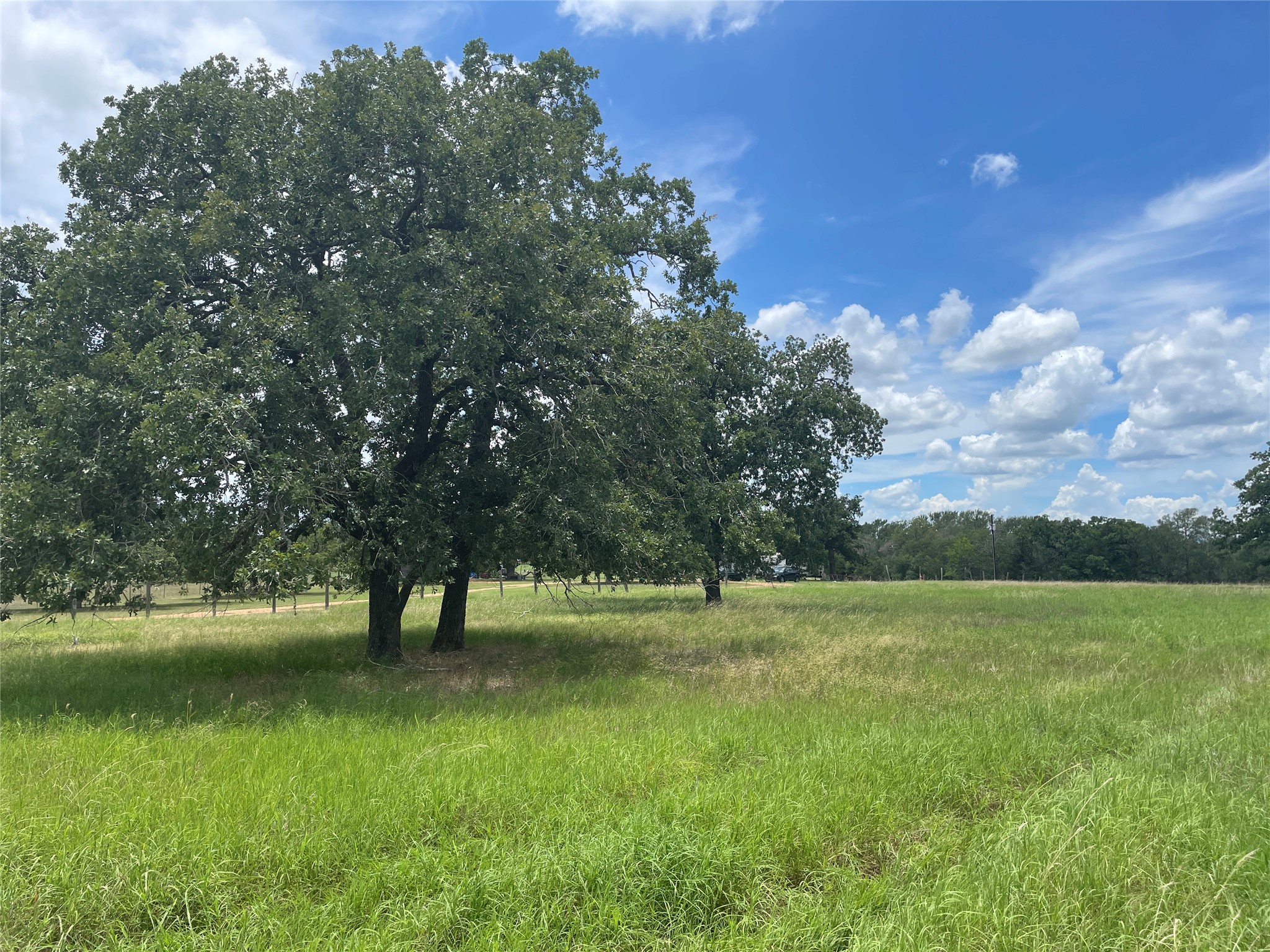 Tbd League Line Road Paige, TX 78659 - Photo 4 of 14 Yard
