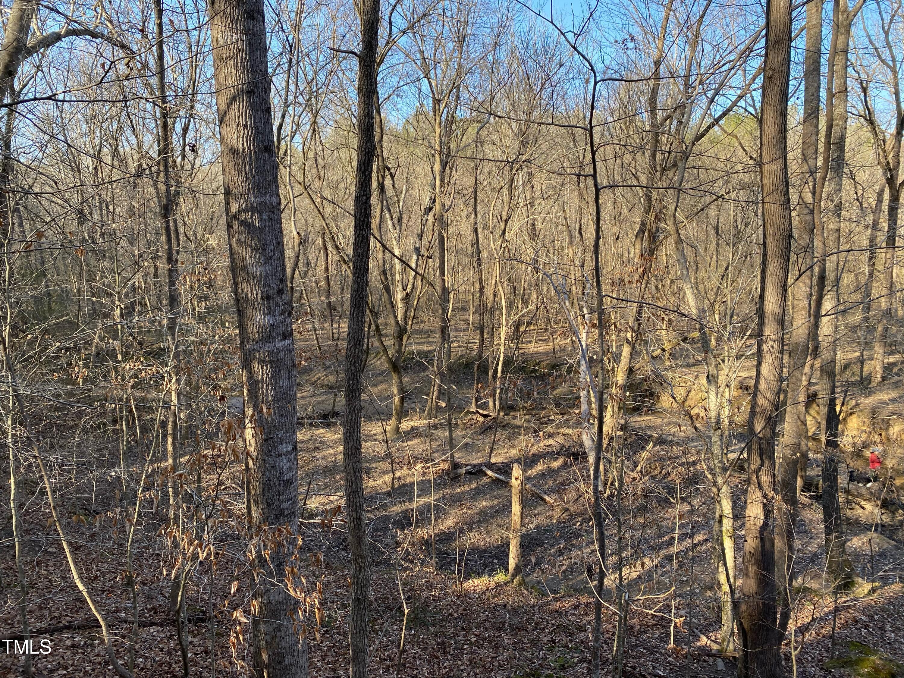 3151 Brogden Road Stem, NC 27581 - Photo 57 of 58 Back in the woods!