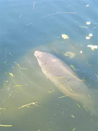 $1,195 | 773 Northeast 9th Street, Unit B, Crystal River, FL 34428