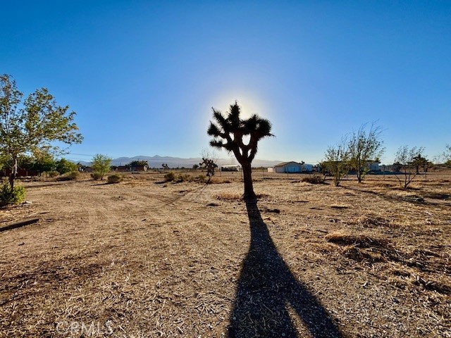 9950 Sonora Road Phelan, CA 92371 - Photo 5 of 6 a view of a yard